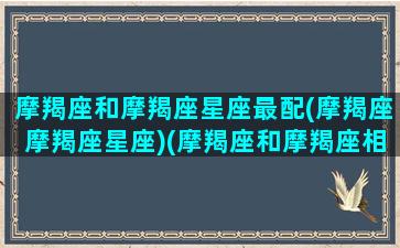 摩羯座和摩羯座星座最配(摩羯座摩羯座星座)(摩羯座和摩羯座相配吗)