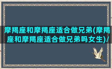 摩羯座和摩羯座适合做兄弟(摩羯座和摩羯座适合做兄弟吗女生)/摩羯座和摩羯座适合做兄弟(摩羯座和摩羯座适合做兄弟吗女生)-我的网站