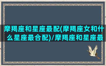 摩羯座和星座最配(摩羯座女和什么星座最合配)/摩羯座和星座最配(摩羯座女和什么星座最合配)-我的网站