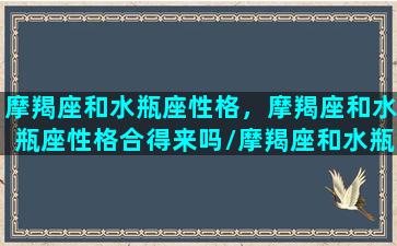 摩羯座和水瓶座性格，摩羯座和水瓶座性格合得来吗/摩羯座和水瓶座性格，摩羯座和水瓶座性格合得来吗-我的网站