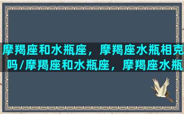 摩羯座和水瓶座，摩羯座水瓶相克吗/摩羯座和水瓶座，摩羯座水瓶相克吗-我的网站