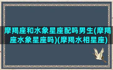 摩羯座和水象星座配吗男生(摩羯座水象星座吗)(摩羯水相星座)