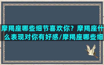 摩羯座哪些细节喜欢你？摩羯座什么表现对你有好感/摩羯座哪些细节喜欢你？摩羯座什么表现对你有好感-我的网站