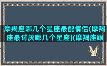 摩羯座哪几个星座最配情侣(摩羯座最讨厌哪几个星座)(摩羯座跟哪个星座最不配)