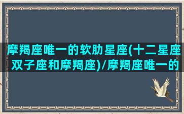 摩羯座唯一的软肋星座(十二星座双子座和摩羯座)/摩羯座唯一的软肋星座(十二星座双子座和摩羯座)-我的网站