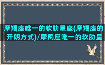 摩羯座唯一的软肋星座(摩羯座的开朗方式)/摩羯座唯一的软肋星座(摩羯座的开朗方式)-我的网站