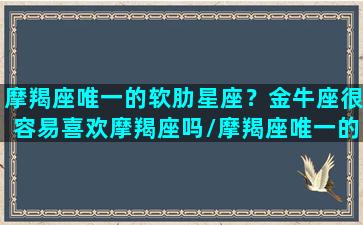 摩羯座唯一的软肋星座？金牛座很容易喜欢摩羯座吗/摩羯座唯一的软肋星座？金牛座很容易喜欢摩羯座吗-我的网站