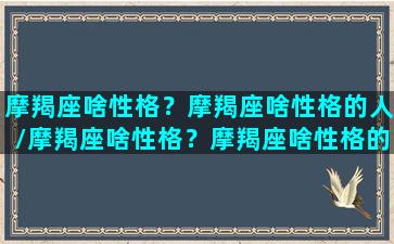 摩羯座啥性格？摩羯座啥性格的人/摩羯座啥性格？摩羯座啥性格的人-我的网站