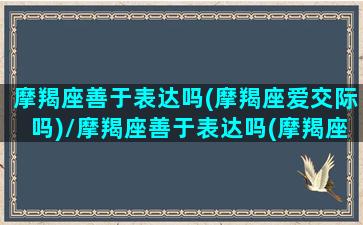 摩羯座善于表达吗(摩羯座爱交际吗)/摩羯座善于表达吗(摩羯座爱交际吗)-我的网站