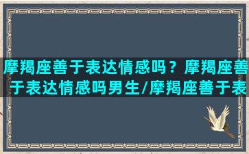 摩羯座善于表达情感吗？摩羯座善于表达情感吗男生/摩羯座善于表达情感吗？摩羯座善于表达情感吗男生-我的网站