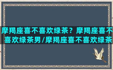 摩羯座喜不喜欢绿茶？摩羯座喜不喜欢绿茶男/摩羯座喜不喜欢绿茶？摩羯座喜不喜欢绿茶男-我的网站