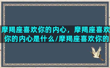 摩羯座喜欢你的内心，摩羯座喜欢你的内心是什么/摩羯座喜欢你的内心，摩羯座喜欢你的内心是什么-我的网站