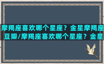 摩羯座喜欢哪个星座？金星摩羯座豆瓣/摩羯座喜欢哪个星座？金星摩羯座豆瓣-我的网站