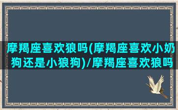 摩羯座喜欢狼吗(摩羯座喜欢小奶狗还是小狼狗)/摩羯座喜欢狼吗(摩羯座喜欢小奶狗还是小狼狗)-我的网站