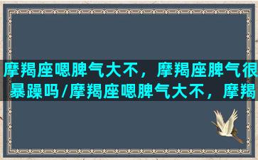 摩羯座嗯脾气大不，摩羯座脾气很暴躁吗/摩羯座嗯脾气大不，摩羯座脾气很暴躁吗-我的网站