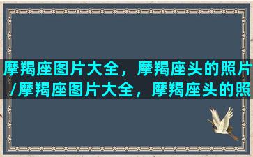 摩羯座图片大全，摩羯座头的照片/摩羯座图片大全，摩羯座头的照片-我的网站