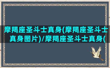 摩羯座圣斗士真身(摩羯座圣斗士真身图片)/摩羯座圣斗士真身(摩羯座圣斗士真身图片)-我的网站