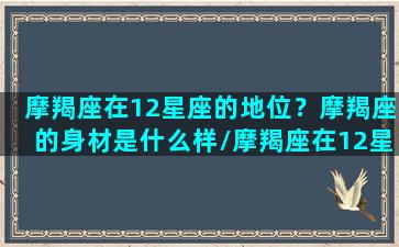 摩羯座在12星座的地位？摩羯座的身材是什么样/摩羯座在12星座的地位？摩羯座的身材是什么样-我的网站