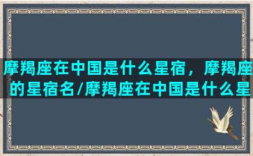 摩羯座在中国是什么星宿，摩羯座的星宿名/摩羯座在中国是什么星宿，摩羯座的星宿名-我的网站