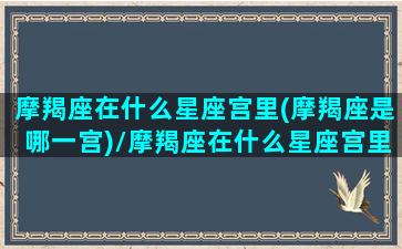 摩羯座在什么星座宫里(摩羯座是哪一宫)/摩羯座在什么星座宫里(摩羯座是哪一宫)-我的网站