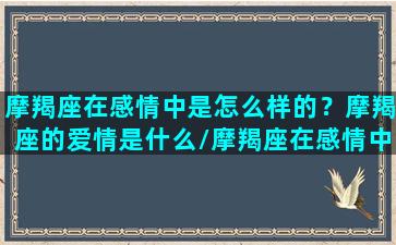 摩羯座在感情中是怎么样的？摩羯座的爱情是什么/摩羯座在感情中是怎么样的？摩羯座的爱情是什么-我的网站