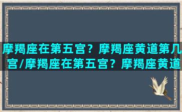 摩羯座在第五宫？摩羯座黄道第几宫/摩羯座在第五宫？摩羯座黄道第几宫-我的网站