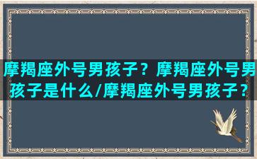 摩羯座外号男孩子？摩羯座外号男孩子是什么/摩羯座外号男孩子？摩羯座外号男孩子是什么-我的网站