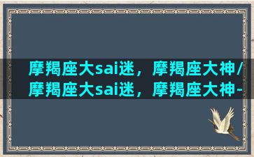 摩羯座大sai迷，摩羯座大神/摩羯座大sai迷，摩羯座大神-我的网站(摩羯座大号)