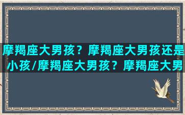 摩羯座大男孩？摩羯座大男孩还是小孩/摩羯座大男孩？摩羯座大男孩还是小孩-我的网站