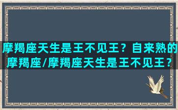 摩羯座天生是王不见王？自来熟的摩羯座/摩羯座天生是王不见王？自来熟的摩羯座-我的网站