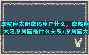 摩羯座太阳摩羯座是什么，摩羯座太阳摩羯座是什么关系/摩羯座太阳摩羯座是什么，摩羯座太阳摩羯座是什么关系-我的网站