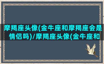 摩羯座头像(金牛座和摩羯座会是情侣吗)/摩羯座头像(金牛座和摩羯座会是情侣吗)-我的网站