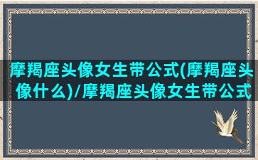 摩羯座头像女生带公式(摩羯座头像什么)/摩羯座头像女生带公式(摩羯座头像什么)-我的网站