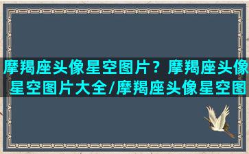 摩羯座头像星空图片？摩羯座头像星空图片大全/摩羯座头像星空图片？摩羯座头像星空图片大全-我的网站