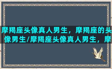 摩羯座头像真人男生，摩羯座的头像男生/摩羯座头像真人男生，摩羯座的头像男生-我的网站