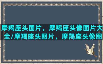 摩羯座头图片，摩羯座头像图片大全/摩羯座头图片，摩羯座头像图片大全-我的网站