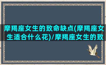 摩羯座女生的致命缺点(摩羯座女生适合什么花)/摩羯座女生的致命缺点(摩羯座女生适合什么花)-我的网站