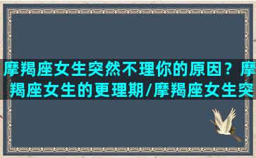 摩羯座女生突然不理你的原因？摩羯座女生的更理期/摩羯座女生突然不理你的原因？摩羯座女生的更理期-我的网站