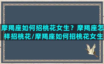 摩羯座如何招桃花女生？摩羯座怎样招桃花/摩羯座如何招桃花女生？摩羯座怎样招桃花-我的网站