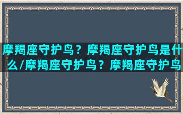 摩羯座守护鸟？摩羯座守护鸟是什么/摩羯座守护鸟？摩羯座守护鸟是什么-我的网站