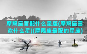 摩羯座官配什么星座(摩羯座喜欢什么星)(摩羯座最配的星座)