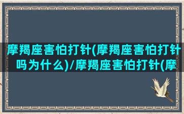 摩羯座害怕打针(摩羯座害怕打针吗为什么)/摩羯座害怕打针(摩羯座害怕打针吗为什么)-我的网站