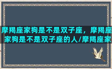 摩羯座家狗是不是双子座，摩羯座家狗是不是双子座的人/摩羯座家狗是不是双子座，摩羯座家狗是不是双子座的人-我的网站