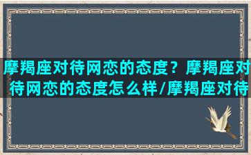 摩羯座对待网恋的态度？摩羯座对待网恋的态度怎么样/摩羯座对待网恋的态度？摩羯座对待网恋的态度怎么样-我的网站