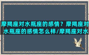 摩羯座对水瓶座的感情？摩羯座对水瓶座的感情怎么样/摩羯座对水瓶座的感情？摩羯座对水瓶座的感情怎么样-我的网站