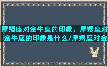 摩羯座对金牛座的印象，摩羯座对金牛座的印象是什么/摩羯座对金牛座的印象，摩羯座对金牛座的印象是什么-我的网站