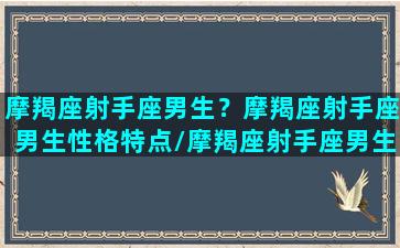 摩羯座射手座男生？摩羯座射手座男生性格特点/摩羯座射手座男生？摩羯座射手座男生性格特点-我的网站