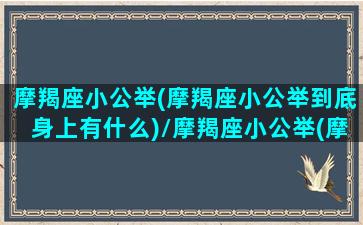 摩羯座小公举(摩羯座小公举到底身上有什么)/摩羯座小公举(摩羯座小公举到底身上有什么)-我的网站