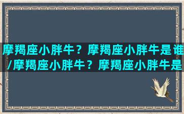 摩羯座小胖牛？摩羯座小胖牛是谁/摩羯座小胖牛？摩羯座小胖牛是谁-我的网站