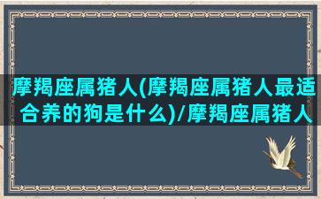 摩羯座属猪人(摩羯座属猪人最适合养的狗是什么)/摩羯座属猪人(摩羯座属猪人最适合养的狗是什么)-我的网站